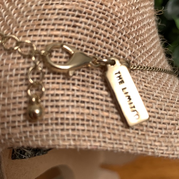 The Limited Gems with Gold Tone Necklace - Picture 3 of 12